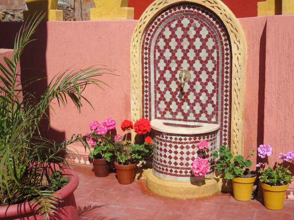 Fontaine murale en zellige et plantes sur la terrasse
